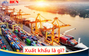 Xuất khẩu hàng hóa là gì